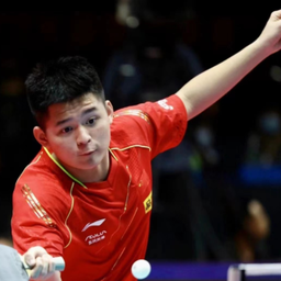 混乱和恐慌 混乱和恐慌