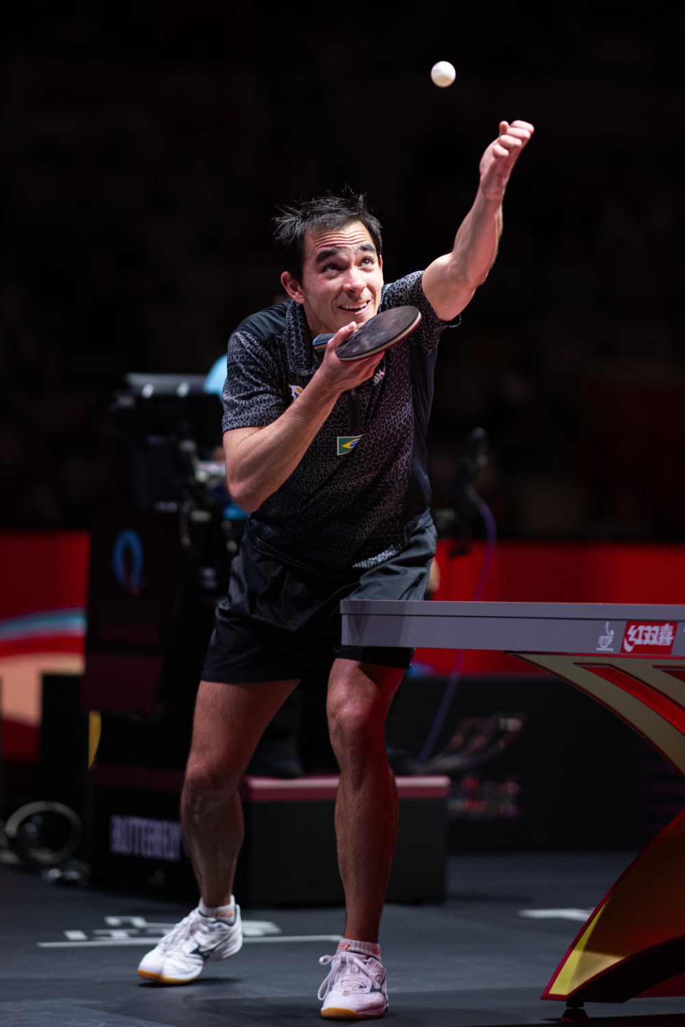 世界级的乒 世界级的乒